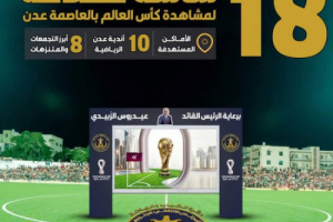  18 شاشة عملاقة تنقل فعاليات كأس العالم بمديريات العاصمة عدن