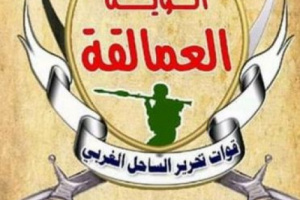 إعلام العمالقة يكشف سر انتصار القوات الجنوبية في معاركها ضد الحوثي