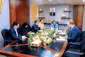 لملس يشدد على استمرارية تنفيذ آليات التعامل مع المهاجرين غير الشرعيين وفق القانون اليمني والدولي
