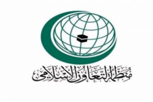 منظمة التعاون الإسلامي تدين بشدة الهجوم على ميناء قنا