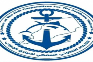 الاتحاد التعاوني السمكي لصيادي الجنوب بشبوة يكلف لجنة فنية لإنشاء قاعدة بيانات متكاملة