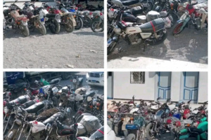 الأجهزة الأمنية بالشحر تواصل حملاتها المرورية لضبط المخالفين بنظم وقواعد السير