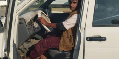 أمن أبين يستعيد سيارتين بعد أقل من 24 ساعة من سرقتهما