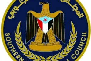 الانتقالي يرحب بتولي مصر قيادة قوة المهام المشتركة في باب المندب وخليج عدن 