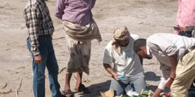السلطة المحلية في البريقة تتلف كمية من منتج شمة الحوت صادرتها من الأسواق