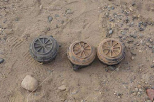 مسام يعثر على شبكة ألغام حوثية في إحدى مزارع الخوخة