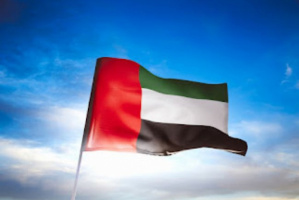 خبير سياسي: ما تقوم به الإمارات يخدم تطلعات الشعوب والسلام