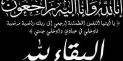 الوكيل الشبحي يعزي مدير عام الشؤون القانونية بوزارة الصحة العامة 