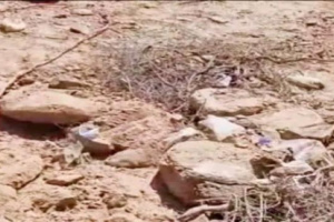القوات الجنوبية تُفكك ثلاث عبوات ناسفة بوادي عومران