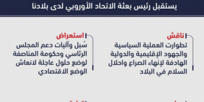 أبرز ما جاء في لقاء الرئيس الزُبيدي مع رئيس بعثة الاتحاد الأوروبي (انفوجرافيك)
