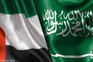 السقلدي: مواقف الأشقاء في السعودية والإمارات نابعة من روح أخوية