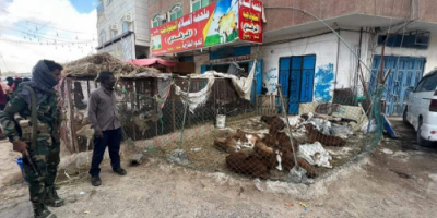 مدير المنصورة يؤكد الحرص على إزالة المظاهر المشوهة بكافة الشوارع العامة للمديرية