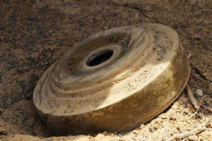 مقتل وجرح 74 ضحية بألغام الحوثي في شهر