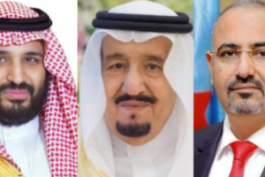 الرئيس الزُبيدي يهنئ خادم الحرمين الشريفين بذكرى يوم التأسيس للمملكة العربية السعودية
