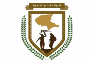 دفاع شبوة تضبط سيارة مسروقة في عتق