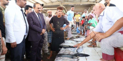 محافظ حضرموت يطلع على أسعار البيع في سوق الأسماك العام