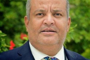 شطارة: عودة الدولتين في الجنوب والشمال لتثبيت السلام بالمنطقة 