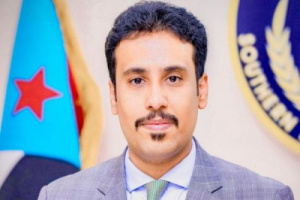 الغيثي يعلق على حديث سفراء الاتحاد الأوروبي عن الوحدة.. ماذا قال ؟!