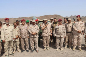 لجنة من قيادات وزارة الدفاع تتفقد محور باب المندب