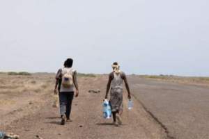 "الدولية للهجرة": 11 ألف مهاجر إفريقي وصلوا اليمن خلال يونيو