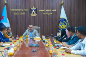 الشؤون الخارجية تعقد اجتماعها الدوري وتستعرض تطورات العملية السياسية