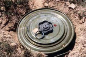 مسام يفكك 2190 لغما منذ بداية الشهر