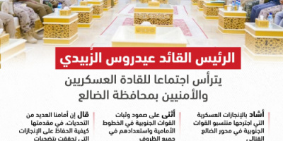 الرئيس الزُبيدي يثمن الإنجازات العسكرية لمحور الضالع (انفوجرافيك)