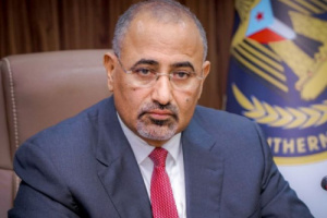 خفر السواحل وتوجيهات الرئيس الزُبيدي.. خطوة مهمة على طريق تحصين الجنوب