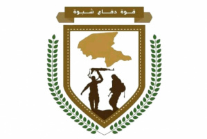 قوات دفاع شبوة تلقي القبض على متهم بجريمة قتل 