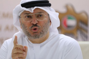 قرقاش: الإمارات تحصد ثمار رؤية القيادة واستثمارها في العلم