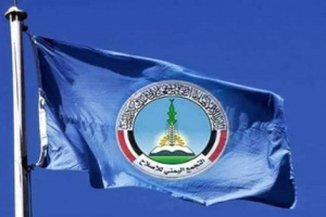 ناشط جنوبي يجلد حزب الإخوان والدول الداعمة له 