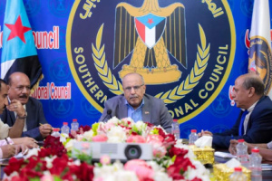  الكثيري يشدد على أهمية تعزيز دور منسقية المجلس بجامعة عدن