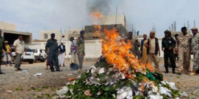 الأجهزة الأمنية بسقطرى تتلف كمية كبيرة من القات المهرب