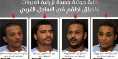 القوات المشتركة تكشف عن تفكيك خليه إرهابية جديدة في الساحل الغربي