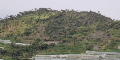 الصقيع يتلف محاصيل اليمنيين… والمواجهة بوسائل بدائية