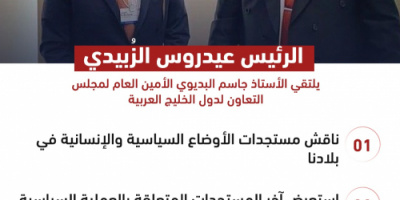 الرئيس الزُبيدي وأمين مجلس التعاون يبحثان تداعيات التصعيد الحوثي (انفوجرافيك)