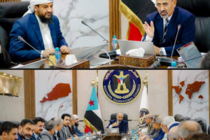 بحضور المحرمي .. هيئة رئاسة الانتقالي تؤكد ضرورة التعاطي الدولي الحازم لحماية خطوط الملاحة