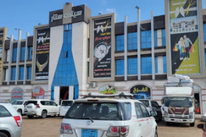 وكيلا عدن "شائع" و"الزامكي" يفتتحان "سيتي ستار مول" في مديرية المنصورة