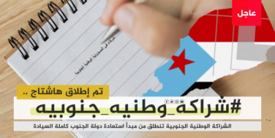 سياسيون: سر انتصارات الجنوب تكمن في تلاحمه وقوة صفه