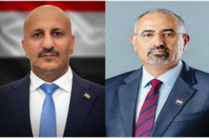 الرئيس الزُبيدي وطارق صالح يؤكدان دعمهما لقرارات البنك المركزي