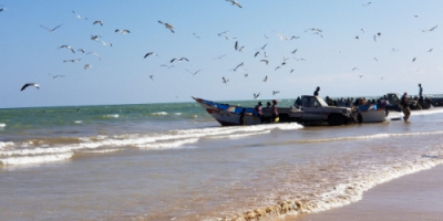 تحذير للصيادين في المهرة من الابحار خلال الساعات القادمة
