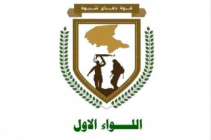 قوات دفاع شبوة تعلن مصرع عددًا من العناصر الإرهابية في عملية نوعية لأحد أوكار التنظيم في منطقة المصينعة