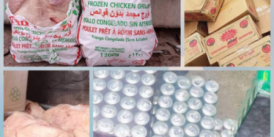 هيئة المواصفات والمقاييس ترفض دجاج مجمد فاسد ومنتجات اخرى مخالفة في العاصمة عدن