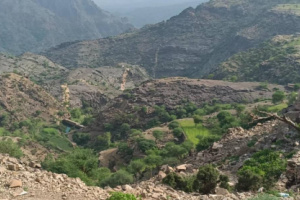 لحج .. القوات الجنوبية تكبد الحوثي خسائر كبيرة شمال غرب المسيمير الحواشب