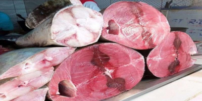 أسعار الأسماك اليوم الإثنين فى العاصمة عدن 23 ديسمبر