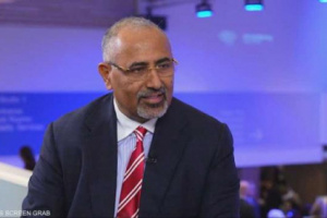 الرئيس الزبيدي: الضربات الجوية ليست كافية لردع هجمات الحوثي 