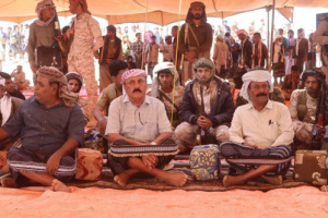رئيس تنفيذية انتقالي شبوة ينجح في إنهاء قضية القشاعير بمديرية رضوم