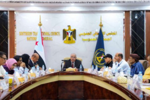 الجمعية الوطنية ترفض مبررات الحكومة وعجزها عن توفير وقود محطات الكهرباء