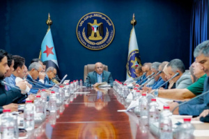 هيئة الرئاسة تؤكد ضرورة عودة مجلس القيادة والحكومة للعمل من العاصمة عدن