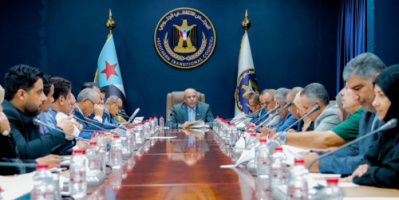 هيئة الرئاسة تؤكد ضرورة عودة مجلس القيادة والحكومة للعمل من العاصمة عدن